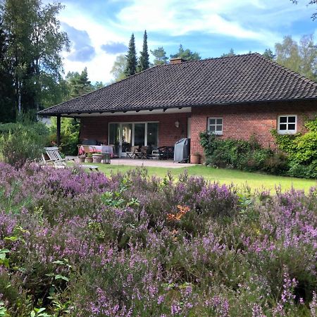 Landhaus Mitten In Der Lueneburger Heide Undeloh Εξωτερικό φωτογραφία