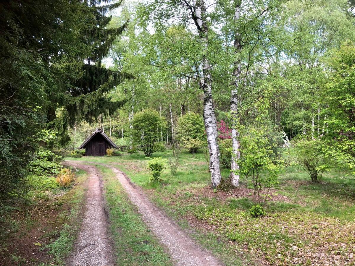 Landhaus Mitten In Der Lueneburger Heide Undeloh Εξωτερικό φωτογραφία