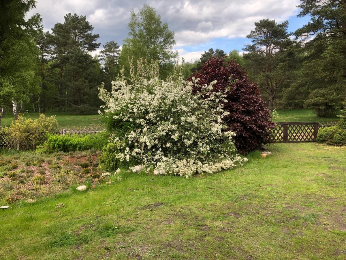 Landhaus Mitten In Der Lueneburger Heide Undeloh Εξωτερικό φωτογραφία