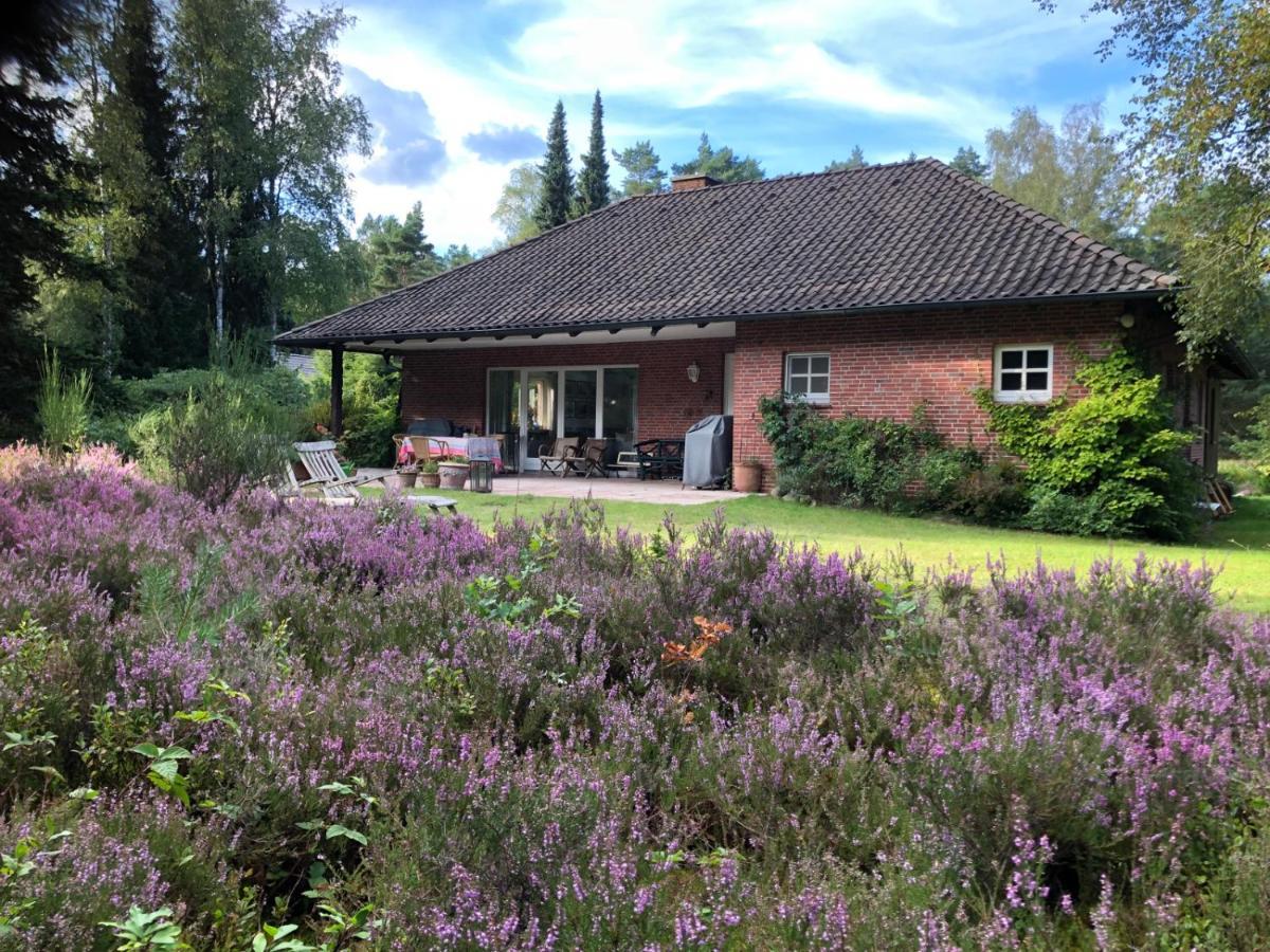 Landhaus Mitten In Der Lueneburger Heide Undeloh Εξωτερικό φωτογραφία