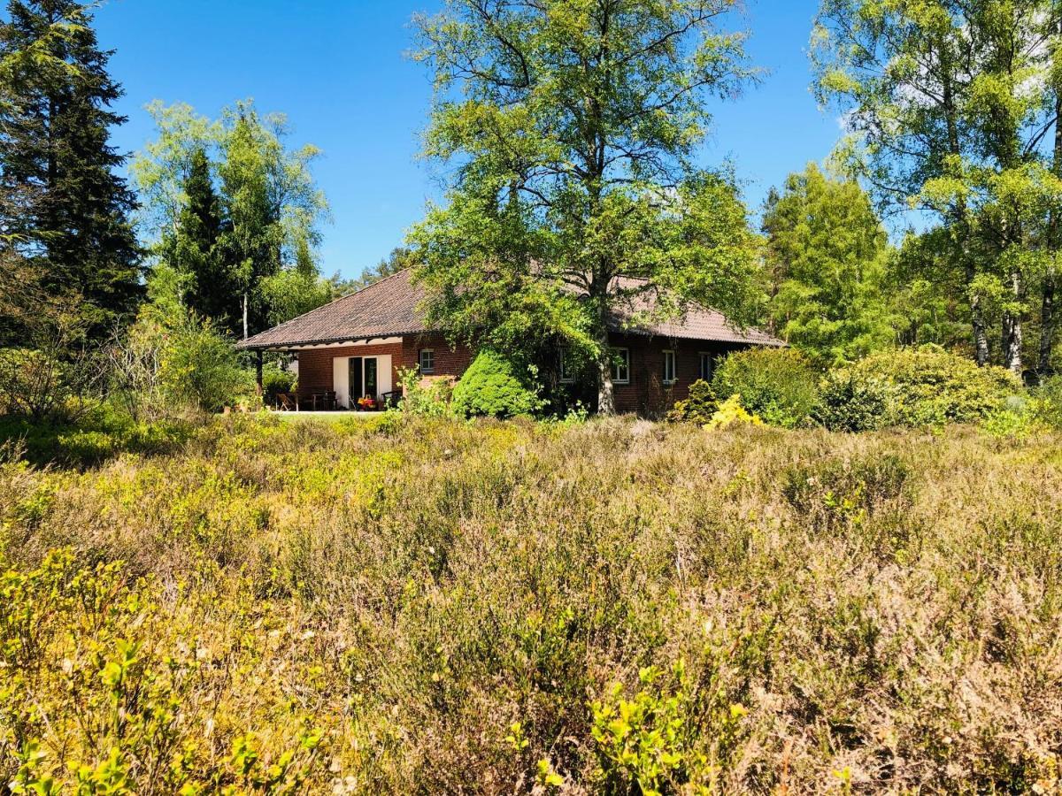 Landhaus Mitten In Der Lueneburger Heide Undeloh Εξωτερικό φωτογραφία