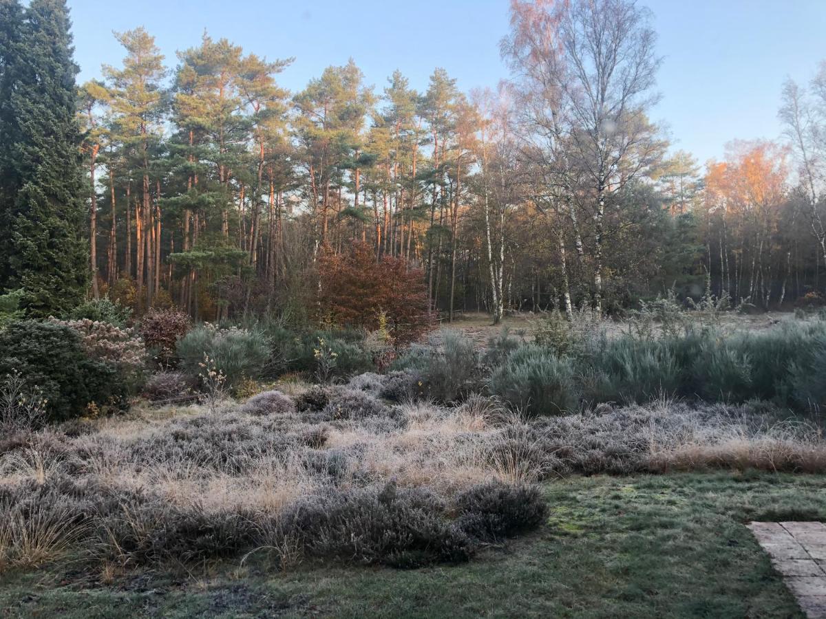 Landhaus Mitten In Der Lueneburger Heide Undeloh Εξωτερικό φωτογραφία