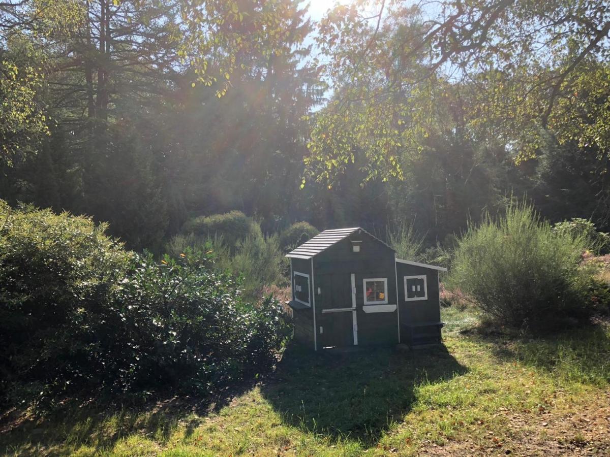 Landhaus Mitten In Der Lueneburger Heide Undeloh Εξωτερικό φωτογραφία