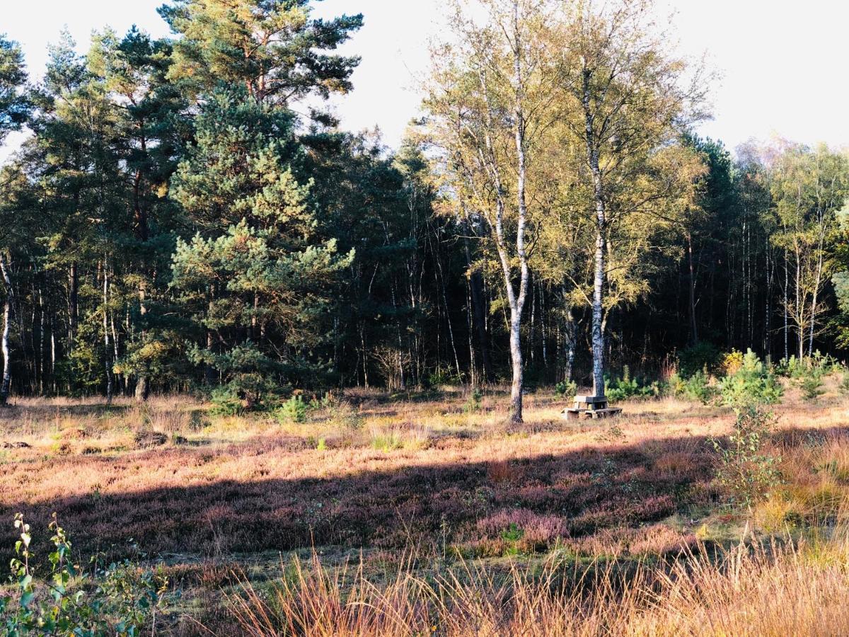 Landhaus Mitten In Der Lueneburger Heide Undeloh Εξωτερικό φωτογραφία